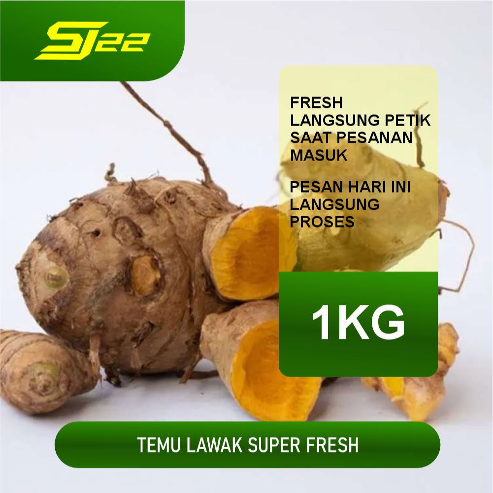 

Temu lawak segar 1 kg - temulawak fresh PROMO COD