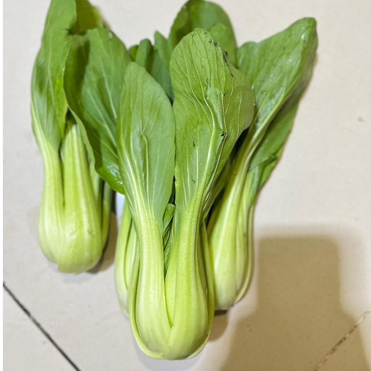 

[JAKTIM] PAKCOY/BOKCOY SAYUR SAWI SENDOK