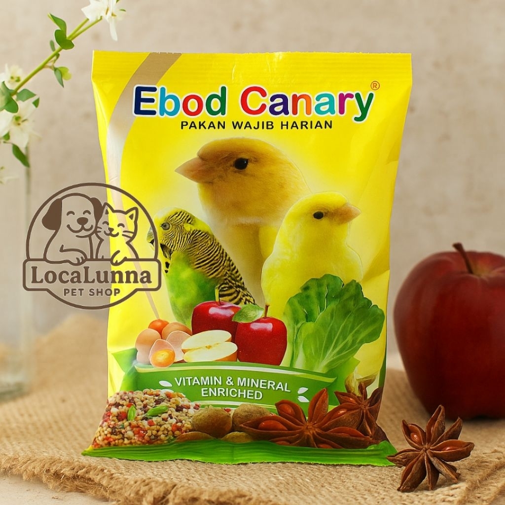 Ebod Kenari Pakan Burung Canary Harian Gacor Lomba