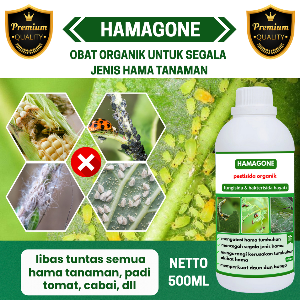 OBAT HAMA ULAT PADI SUNDEP BELUK 500 ML HAMAGONE - Obat Hama Padi, Atasi Hama Ulat Sundep, Wereng,