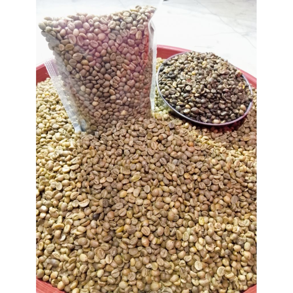 

GREEN BEAN BIJI KOPI ROBUSTA LAMPUNG VARIAN SIAP ROASTING PAKET/BERAT 5KG NATURAL PROCESS