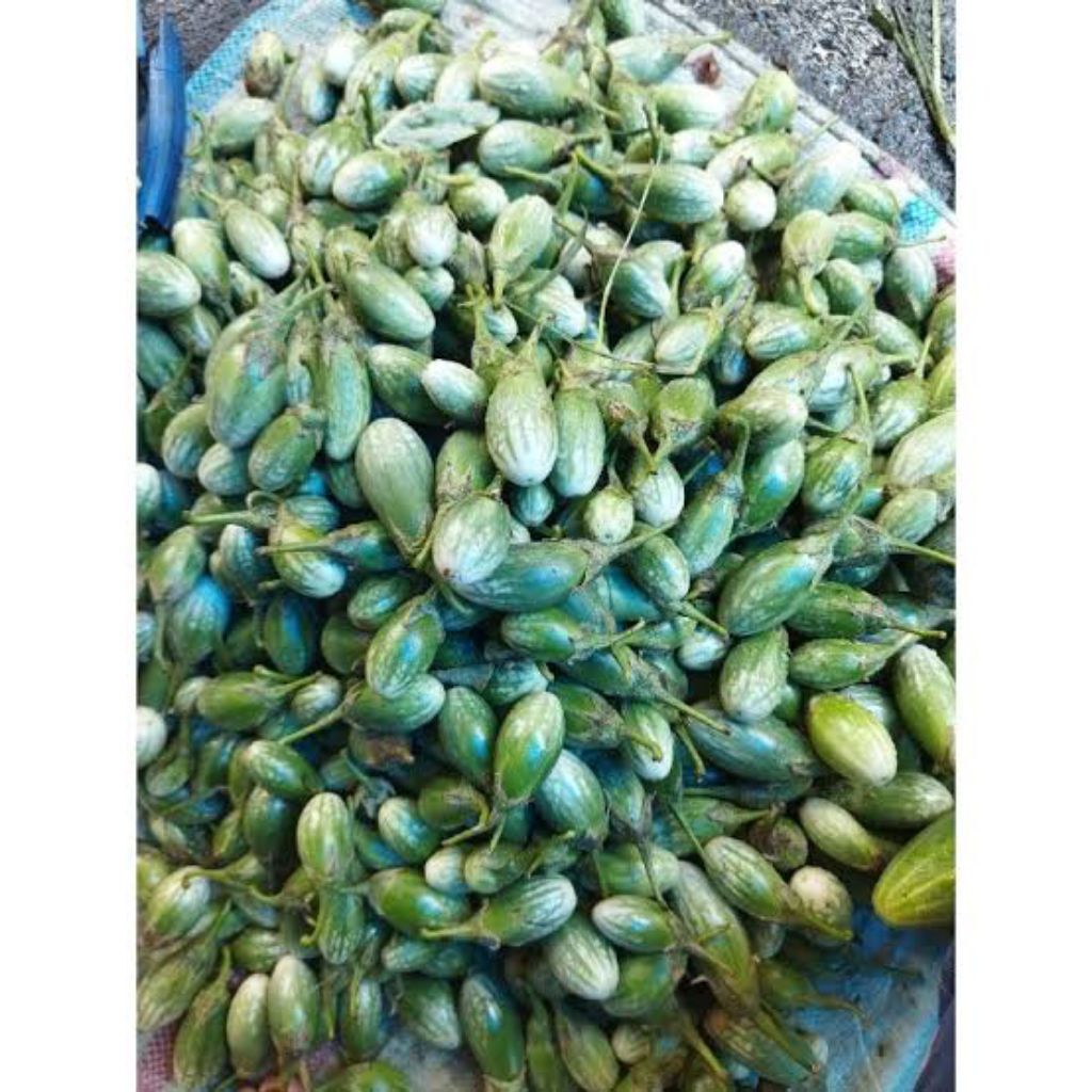 

Terong Hijau Cantik 250gr / Terong Lonjong Kecil / Terong Jempol Fresh (Sayuran Segar)