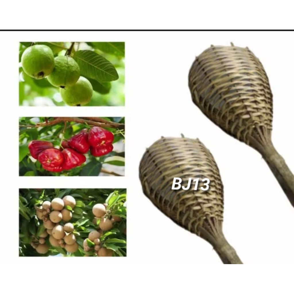 Alat Bantu Petik Buah Bahan Bambu Brongsong Bambu
