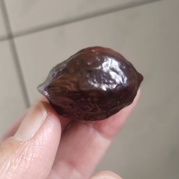 Kemiri Adu Muncang Adu LK Malangbong Urgen Matang Menang Dua Kali