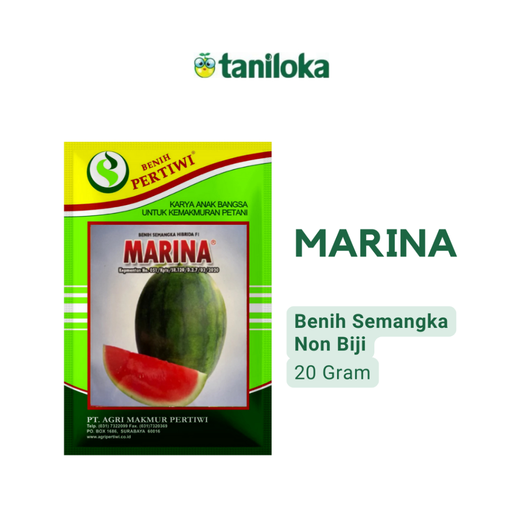 Benih Pertiwi - Benih Semangka Non Biji Marina (20 Gram)