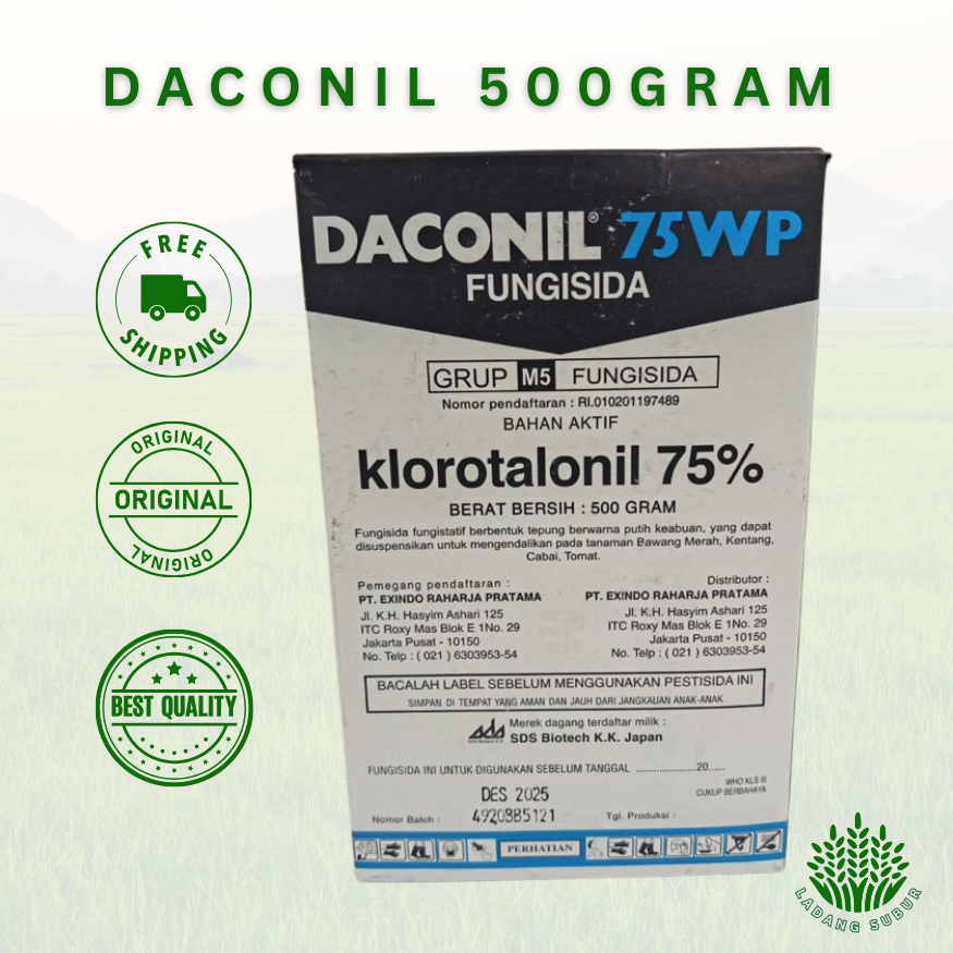 Fungisida DACONIL 75 WP 500 Gram