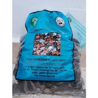 bibit benih kelapa sawit ppks simalungun