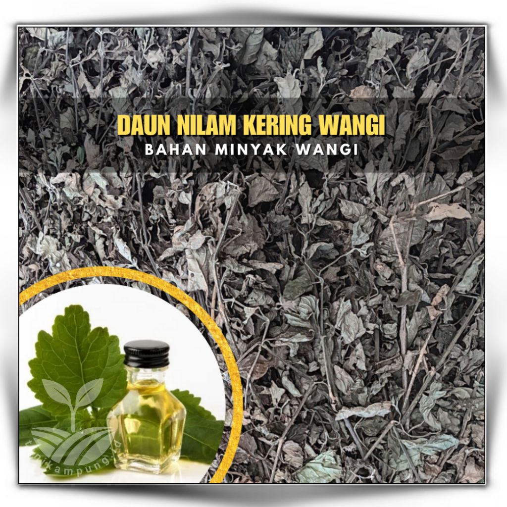[Daun Nilam Kering] Bahan Minyak Wangi, Minyak Nilam, Parfum dan Aromaterapi 1 kg