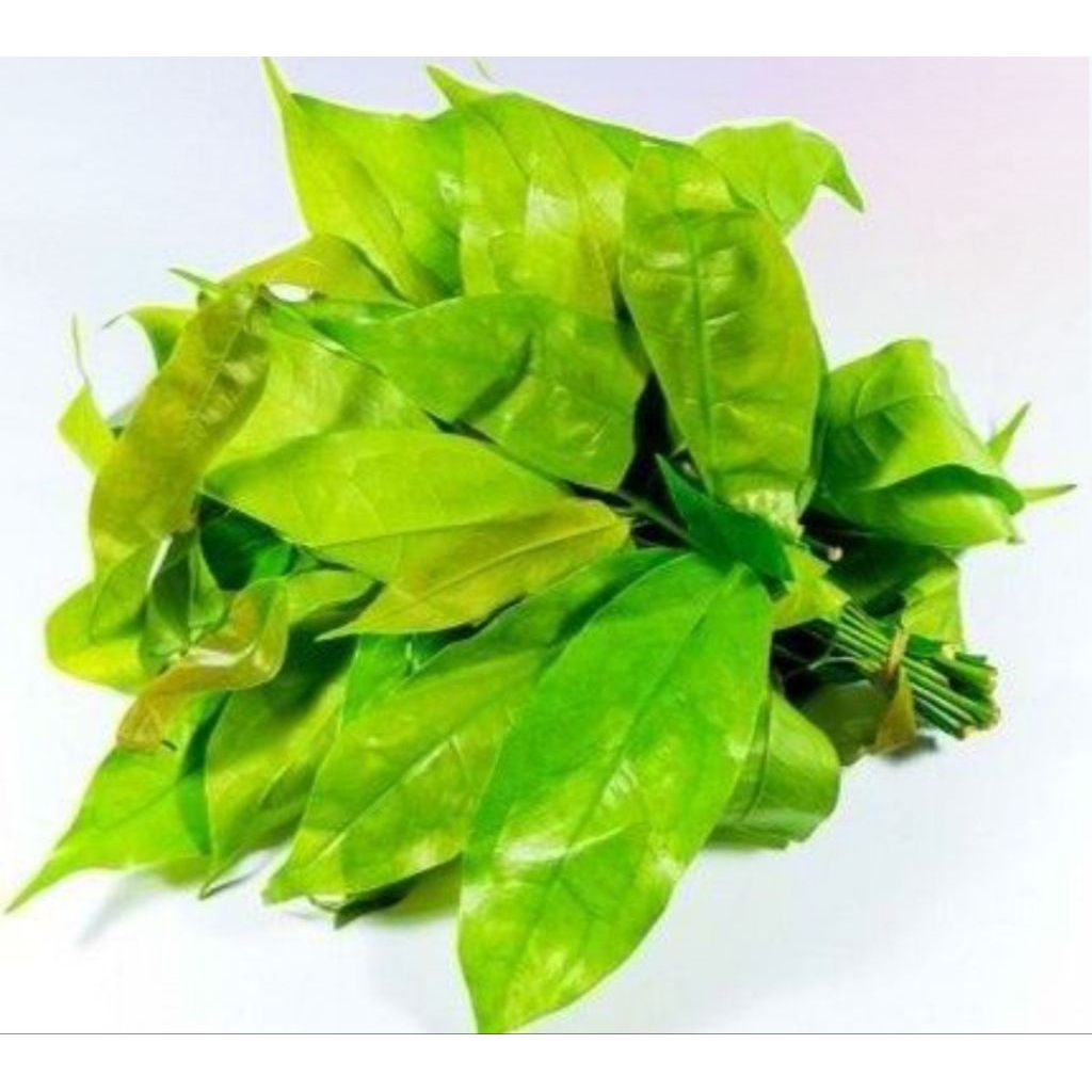 

daun melinjo 250gram