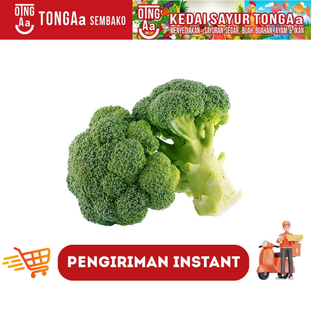 

Brokoli Hijau Segar - Fresh