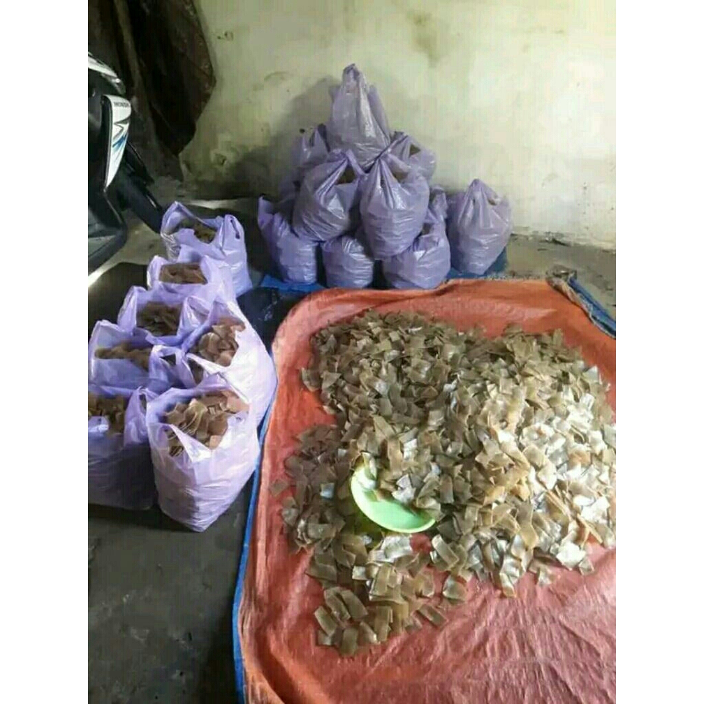 

krupuk gandum mentah