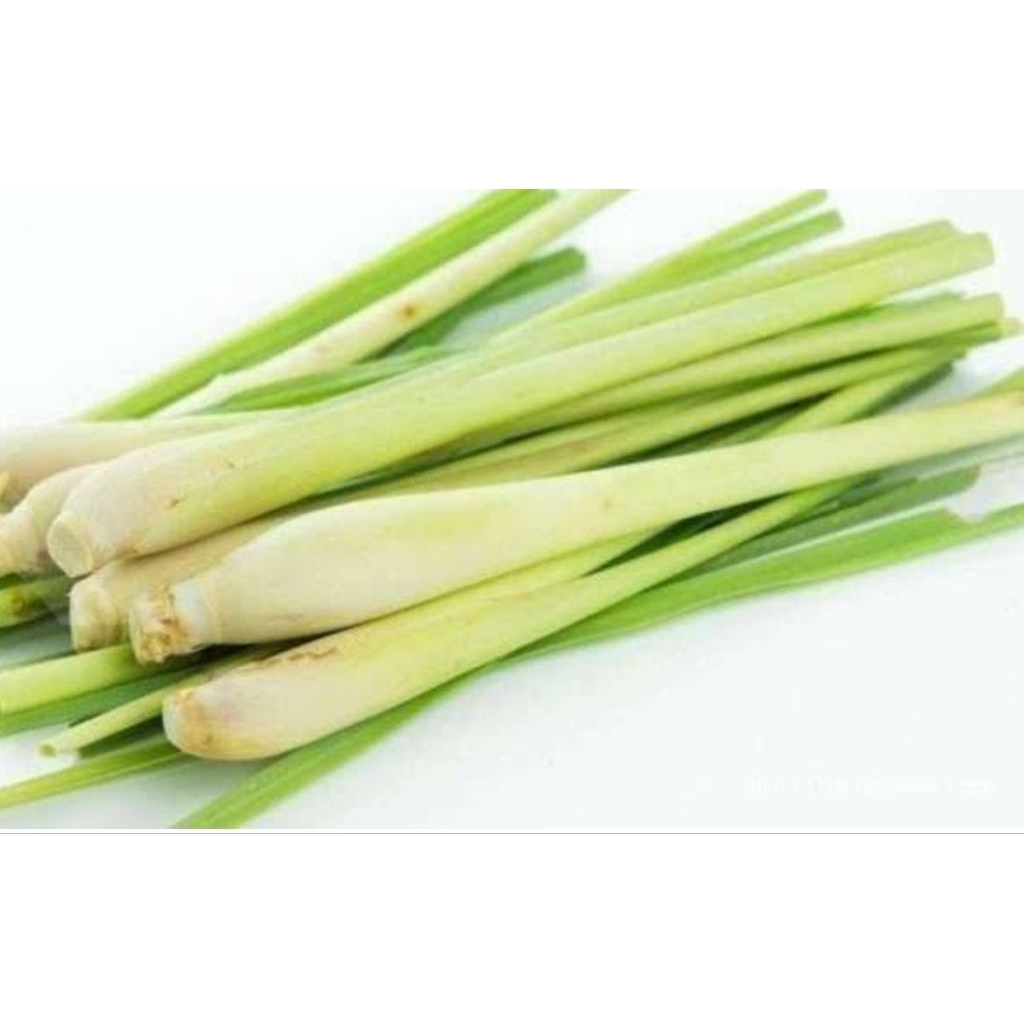 

Sereh harum segar 500gram