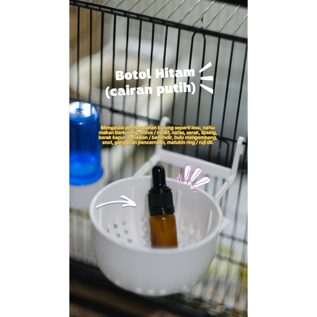 Botol Hitam (Cairan Putih) obat lesu, nafsu makan berkurang, kurus / nyilet, nafas, berak kapur, sar
