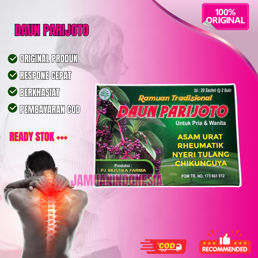 

Daun Parijoto Original Tablet Asam Urat