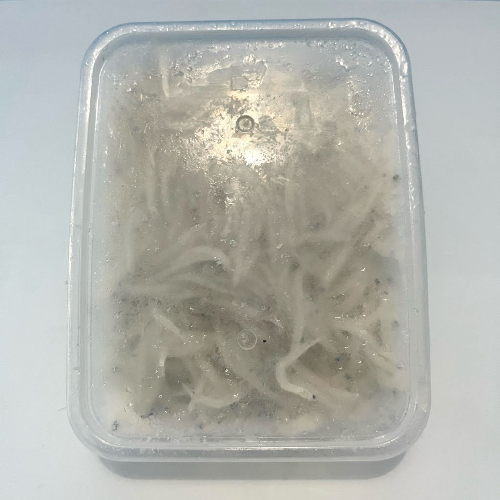 

IKAN AIR TAWAR LIAR & TAMBAK (TERI NASI BASAH, LELE, NILA, GURAME, GABUS, BELUT)