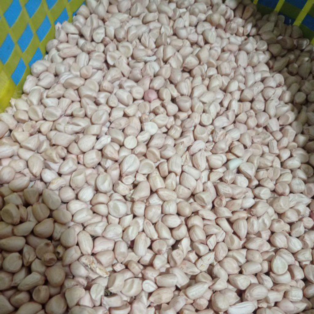 

Kacang tanah 1kilo Fress