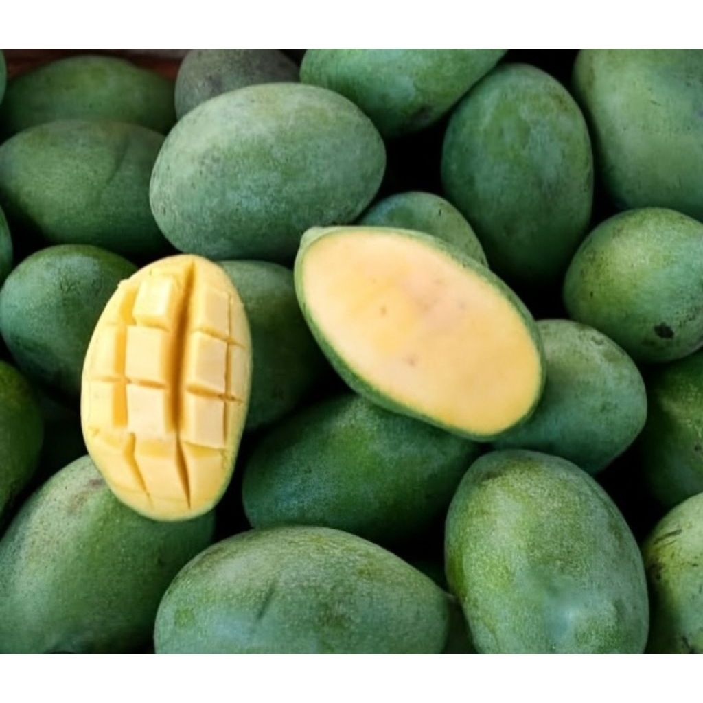 Buah Mangga Manalagi 1 Kg