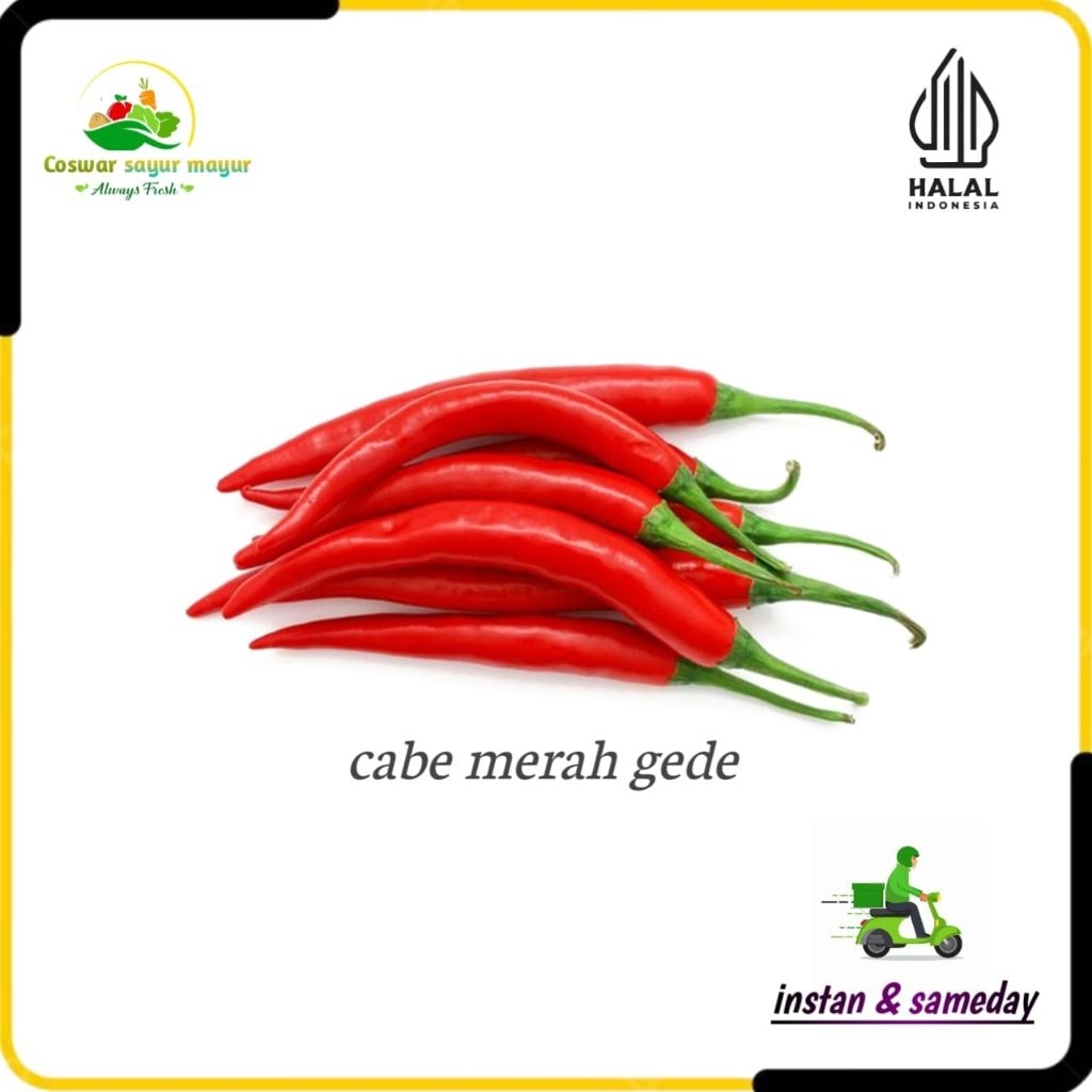 

{ 250 gram } Cabe merah gede cabe gede cabe sambel merah gede