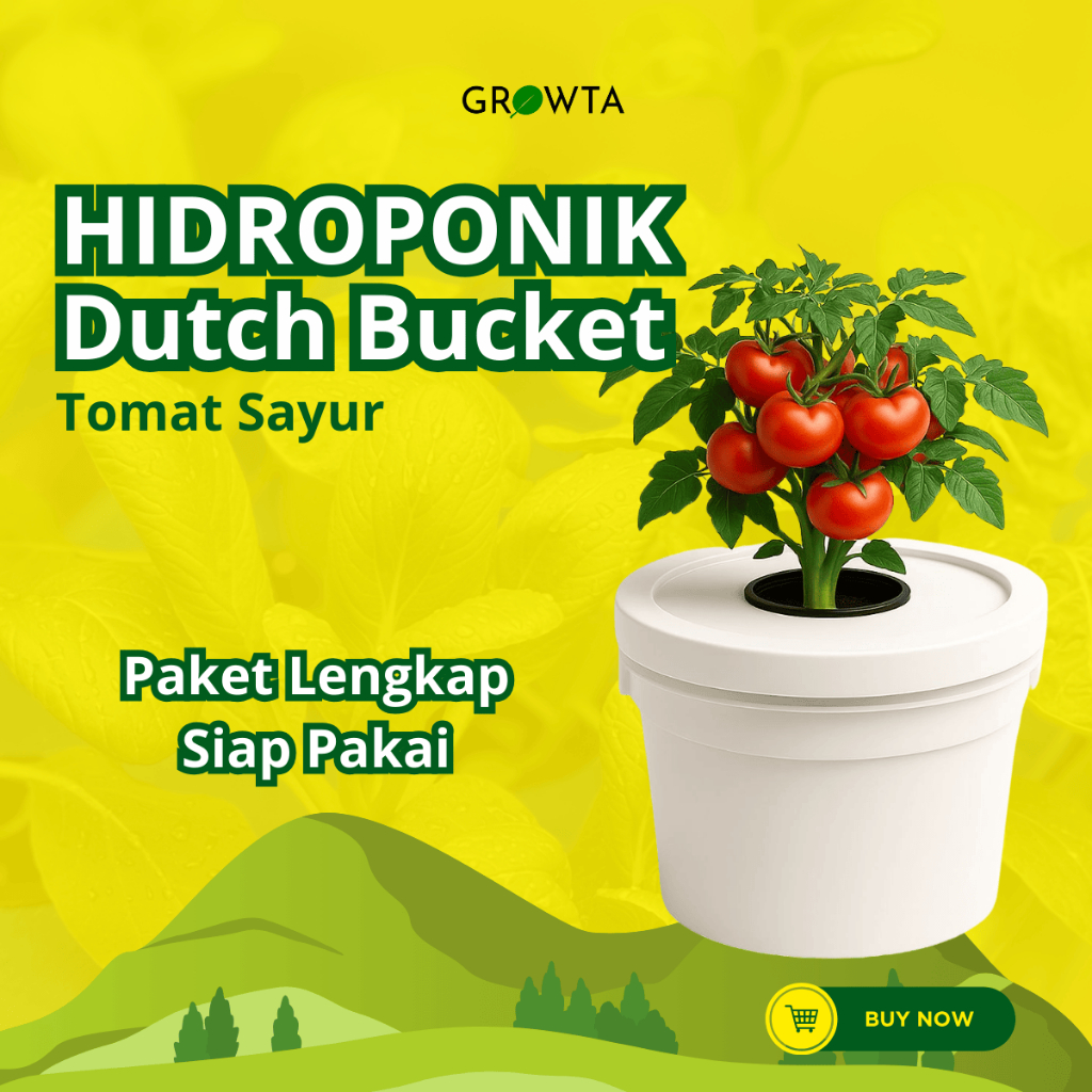 Paket Lengkap Hidroponik Pemula Dutch Bucket Tomat Sayur Wick System