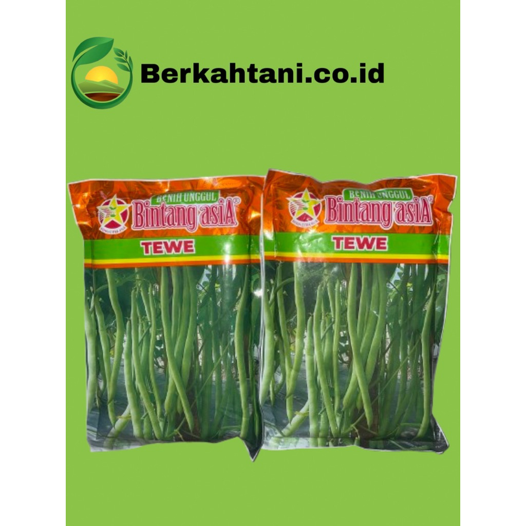 

BENIH BUNCIS - TEWE – BINTANG ASIA – 500 GRAM