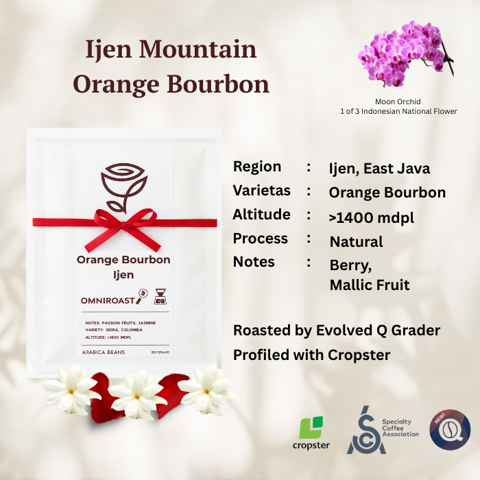 

Orange Bourbon Ijen Bondowoso - Single Origin Specialty Coffee Rosest Rosetery Natural Anaerob