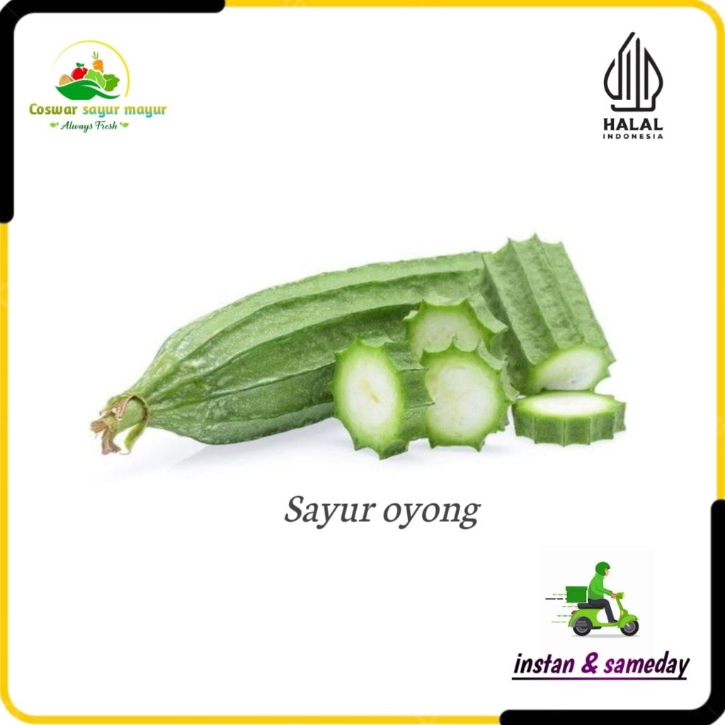 

{ 500 gram } sayuran segar oyong/sayur bening oyong