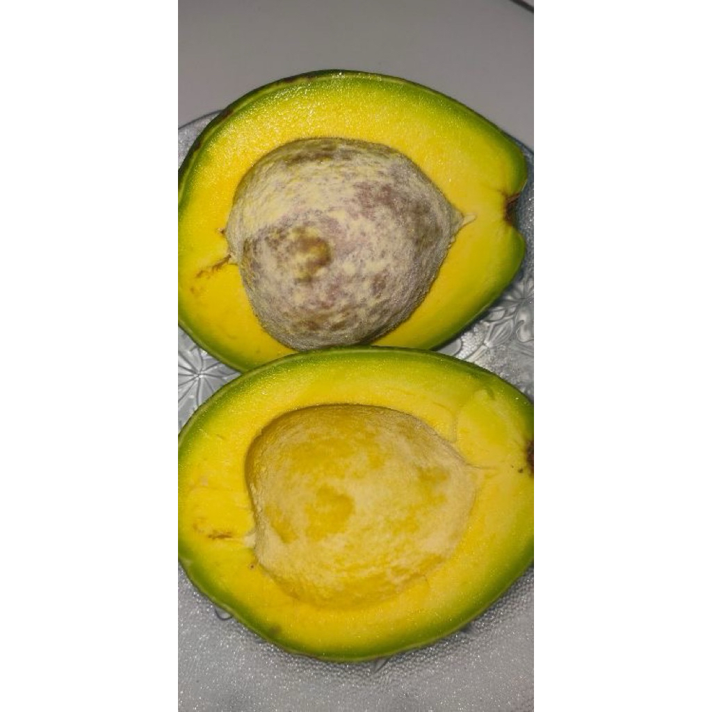 

alpukat mentega super 1kg isi 4 5 paket ( 3KG )