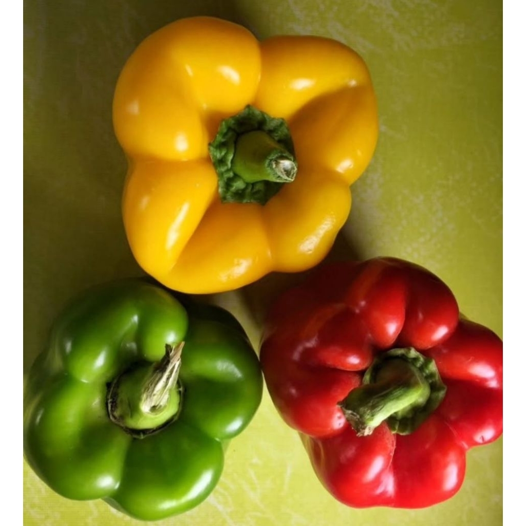 

PAPRIKA MERAH DAN HIJAU SEGAR /PCS UKURAN BESAR