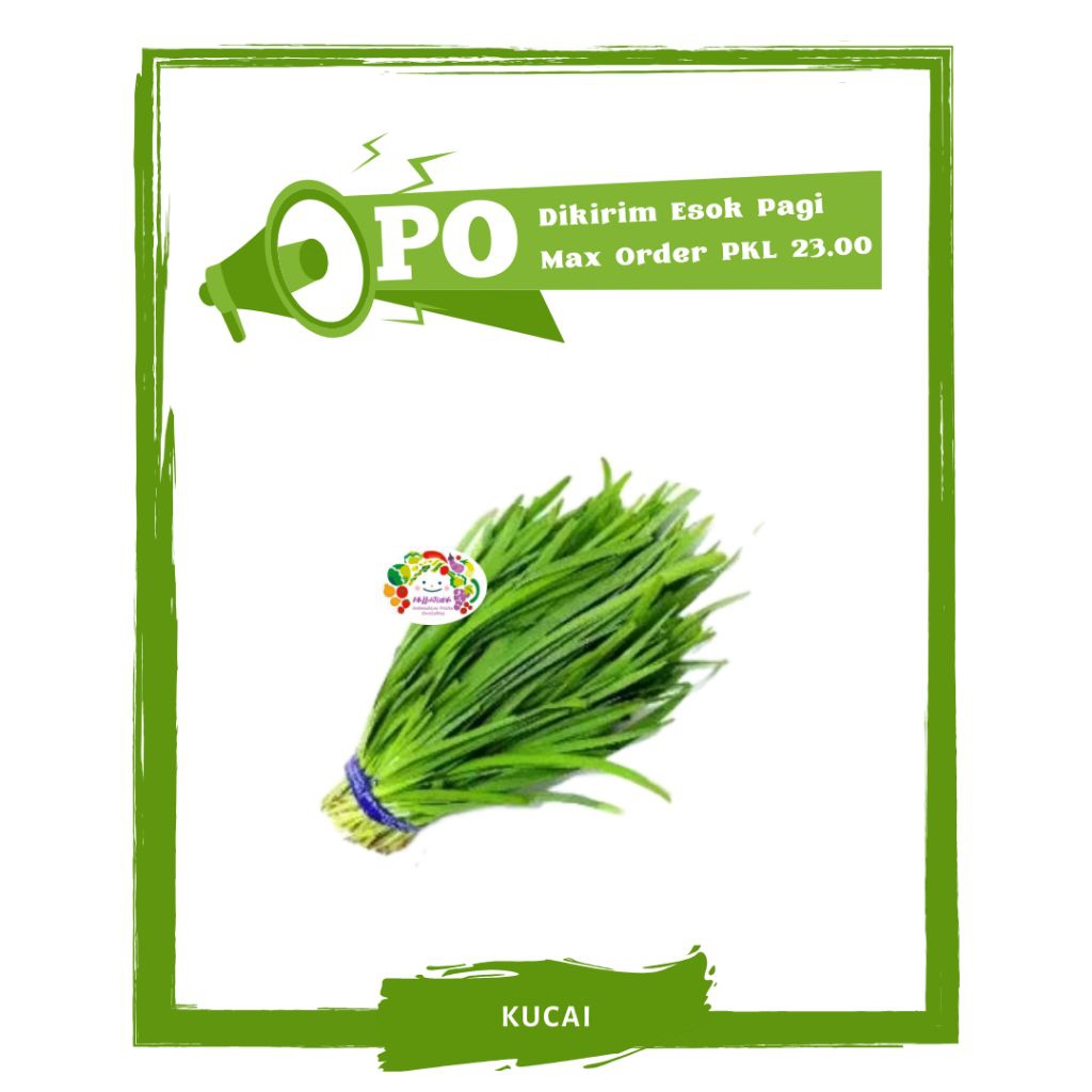 

Daun Kucai / Sayur Sayuran Segar PO Mallahrizwa