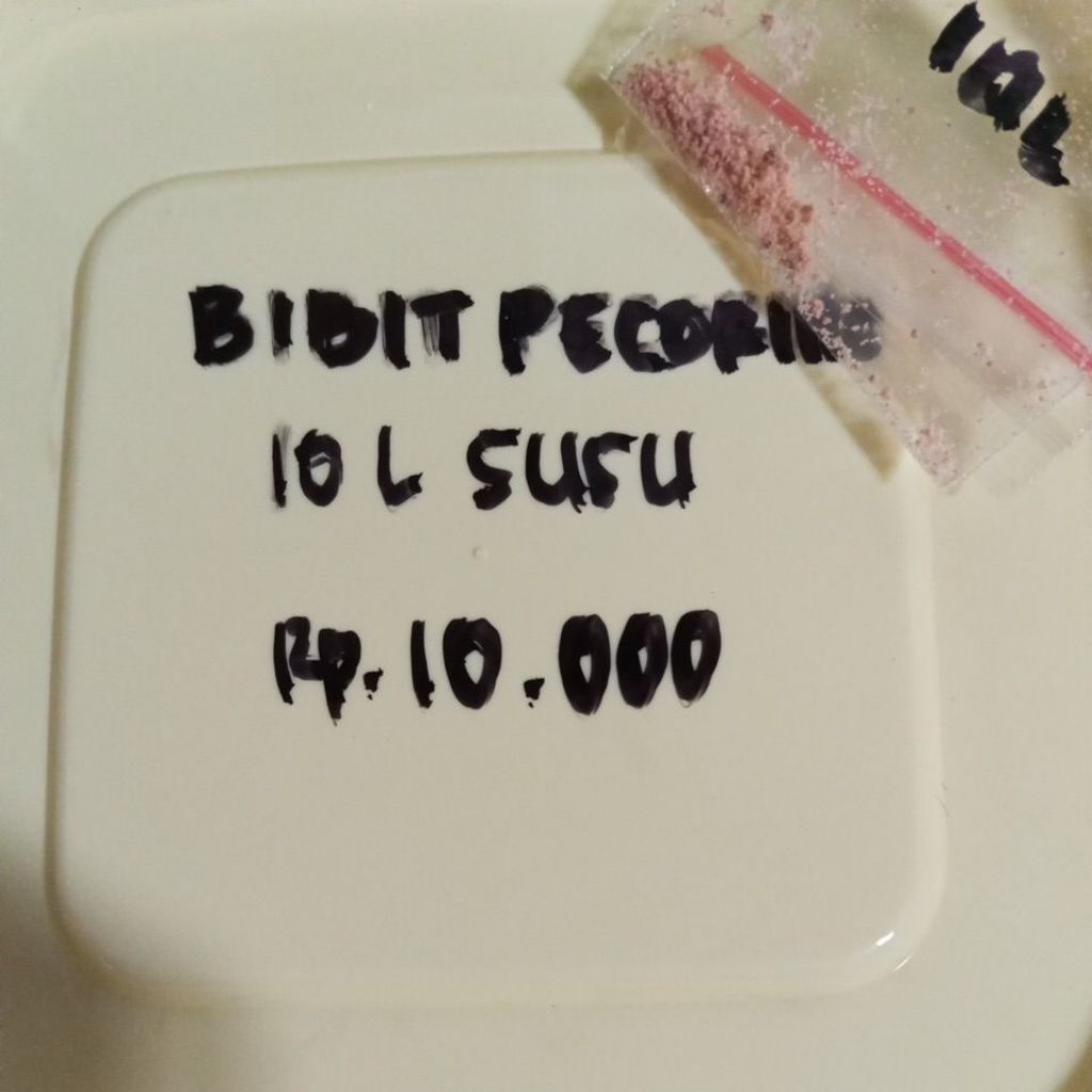 

Bakteri pecorino / parmesan