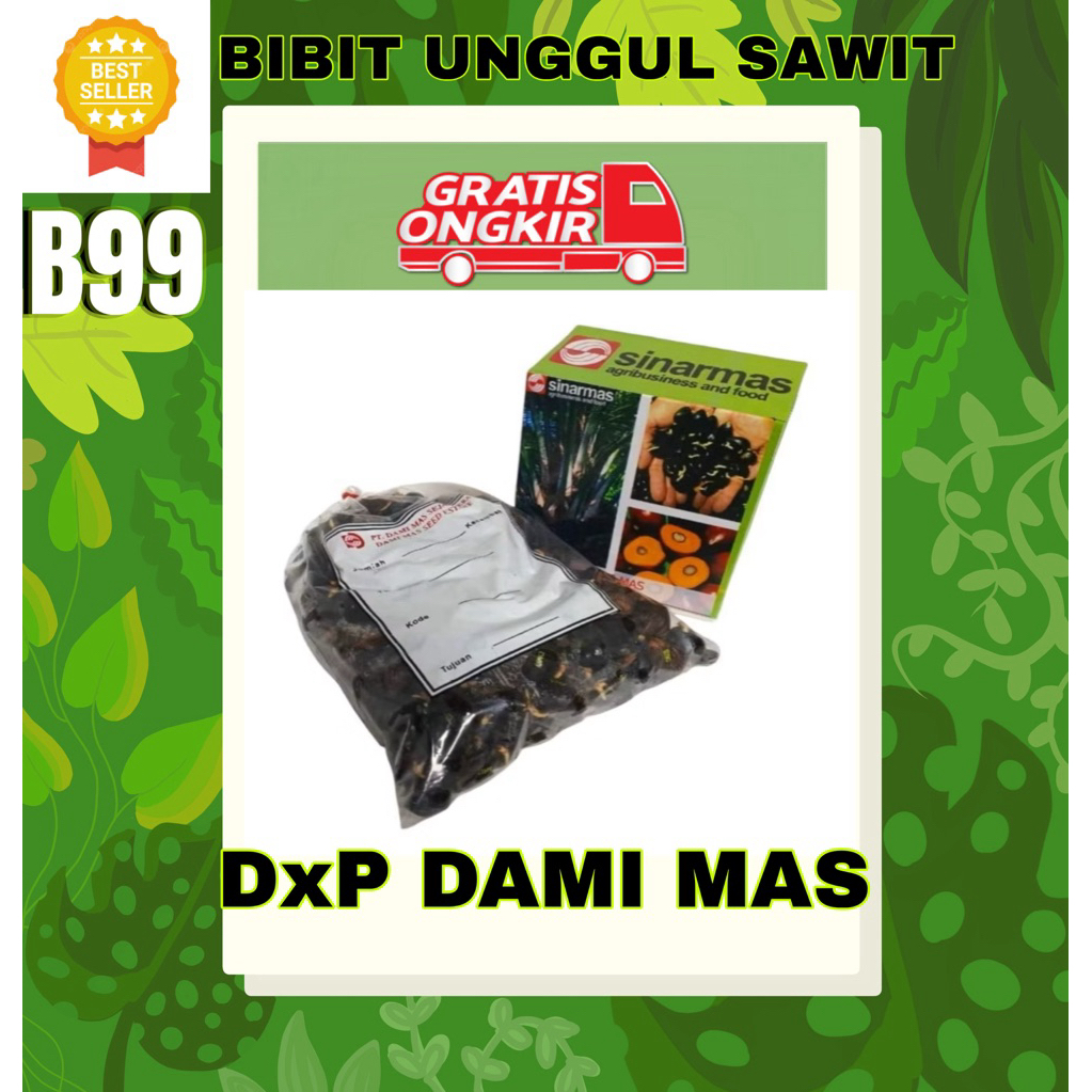 DXP DAMI MAS SINARMAS ISI 250 butir
