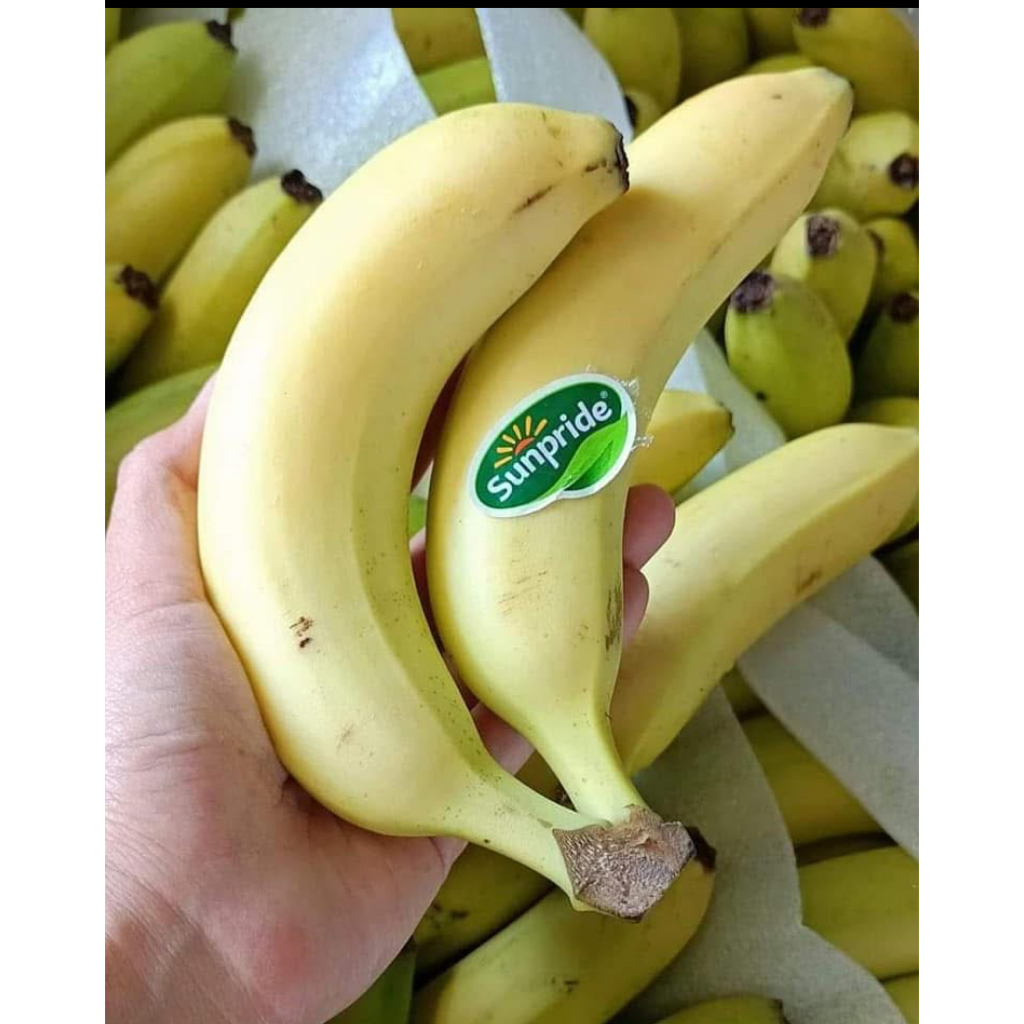 

PISANG CAVENDISH SUNPRIDE