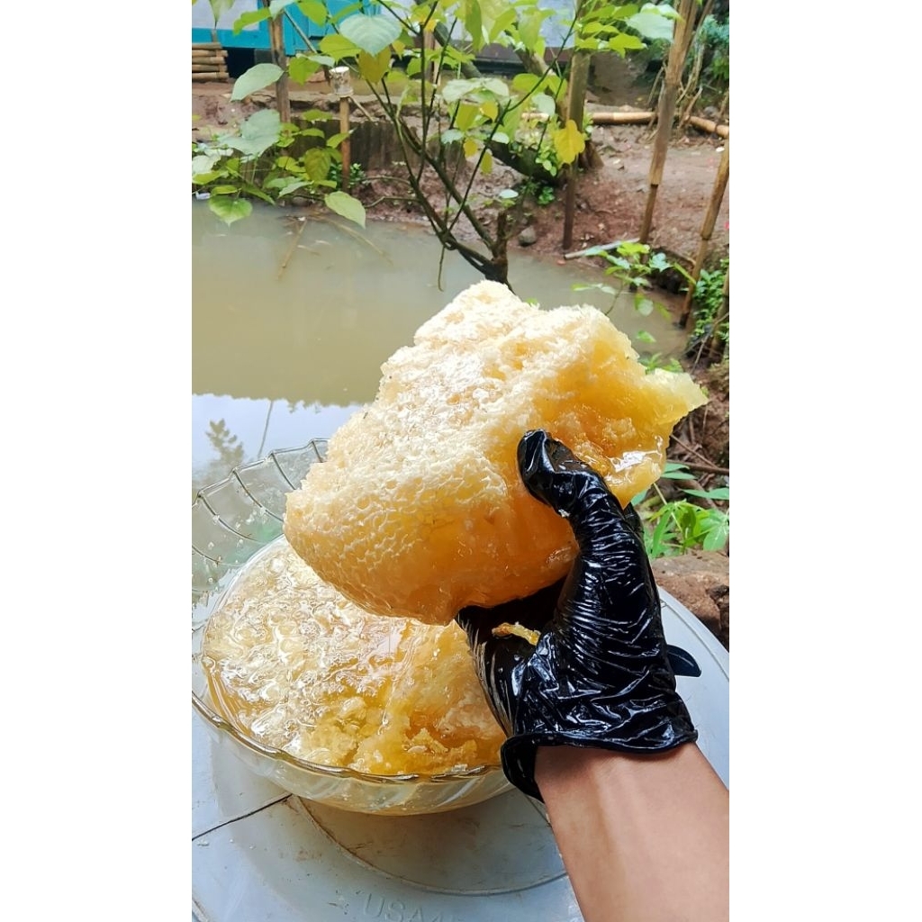 

MADU ODENG 100 MILI MURNI ASLI TANPA CAMPURAN