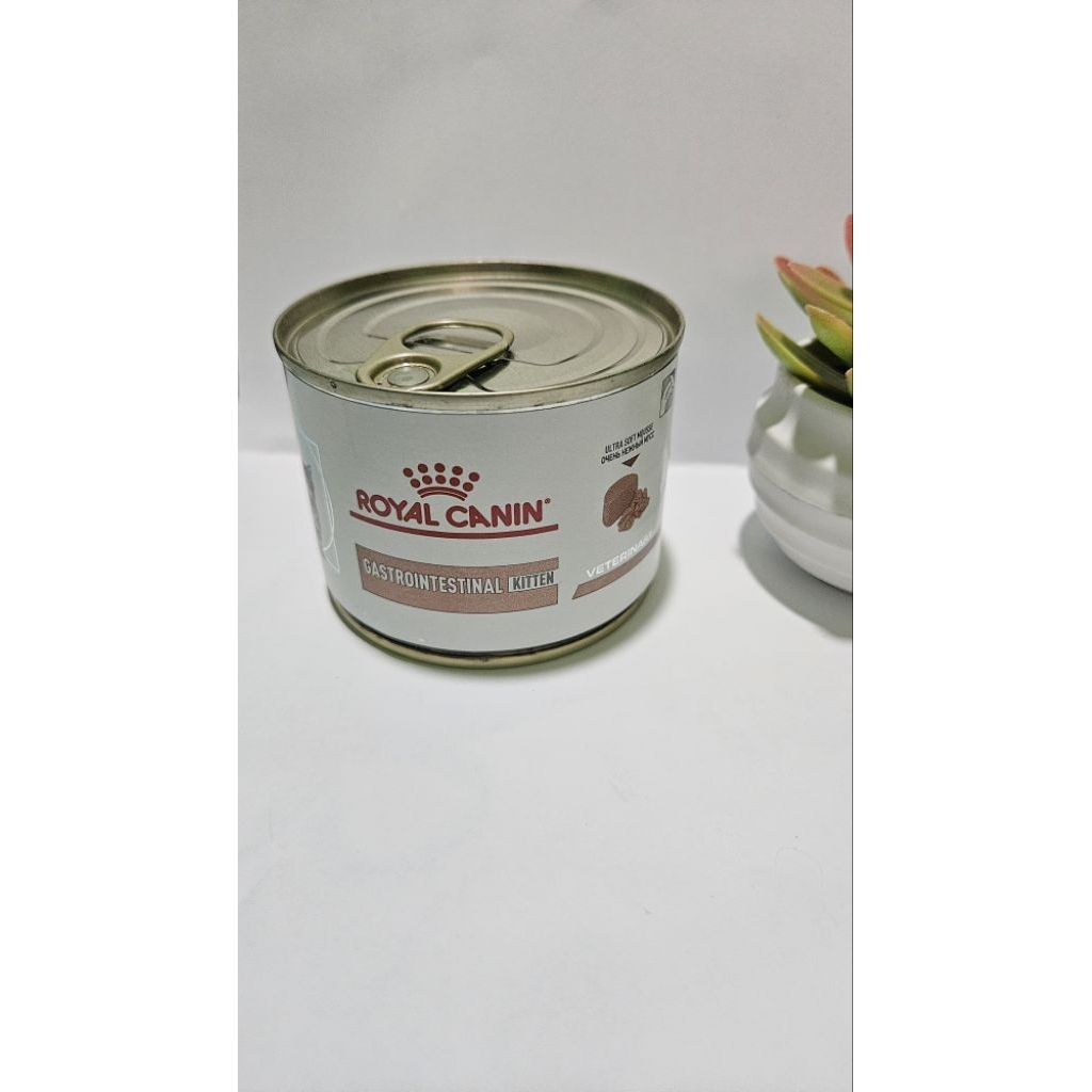 Royal Canin Gastro Intestinal Kitten