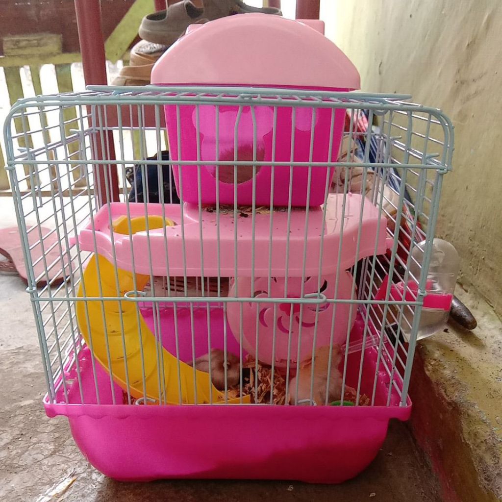 PRELOVED KANDANG HAMSTER BESERTA HAMSTERNYA