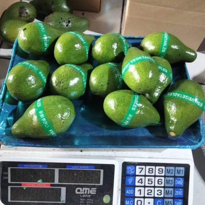 

Alpukat mentega super 1kg isi 2 3 4 buah
