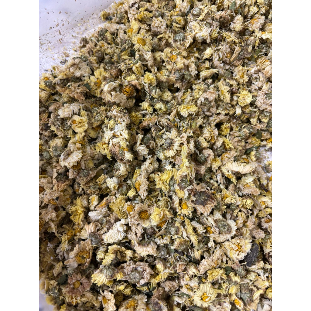 

TEHBUNGA/krisan/kiokhua/chrysanthemum/premium/teh/china