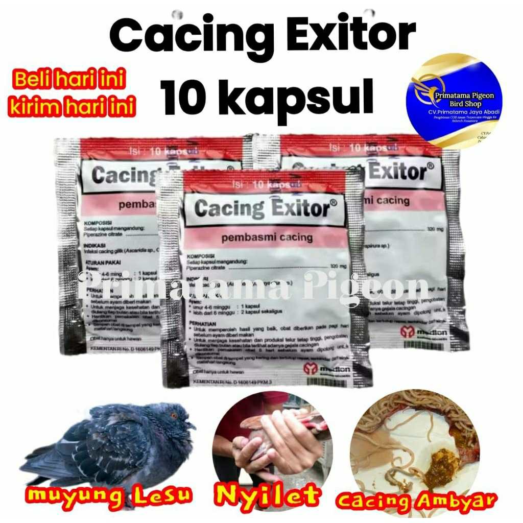 CACING EXITOR ISI 10 KAPSUL OBAT BURUNG MERPATI AYAM SAKIT BURUNG CACINGAN UNGGAS OBAT PEMBASMI CACI