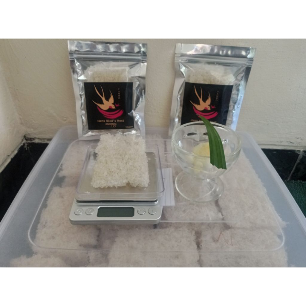 

SARANG BURUNG WALET ORIGINAL DAN BERSIH