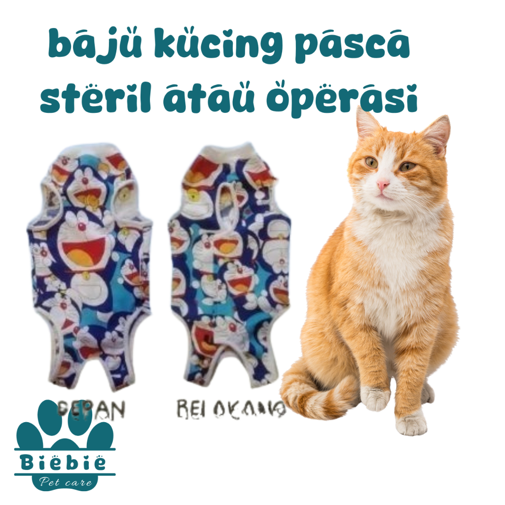 Baju Steril kucing, baju kucing, pakaian kucing