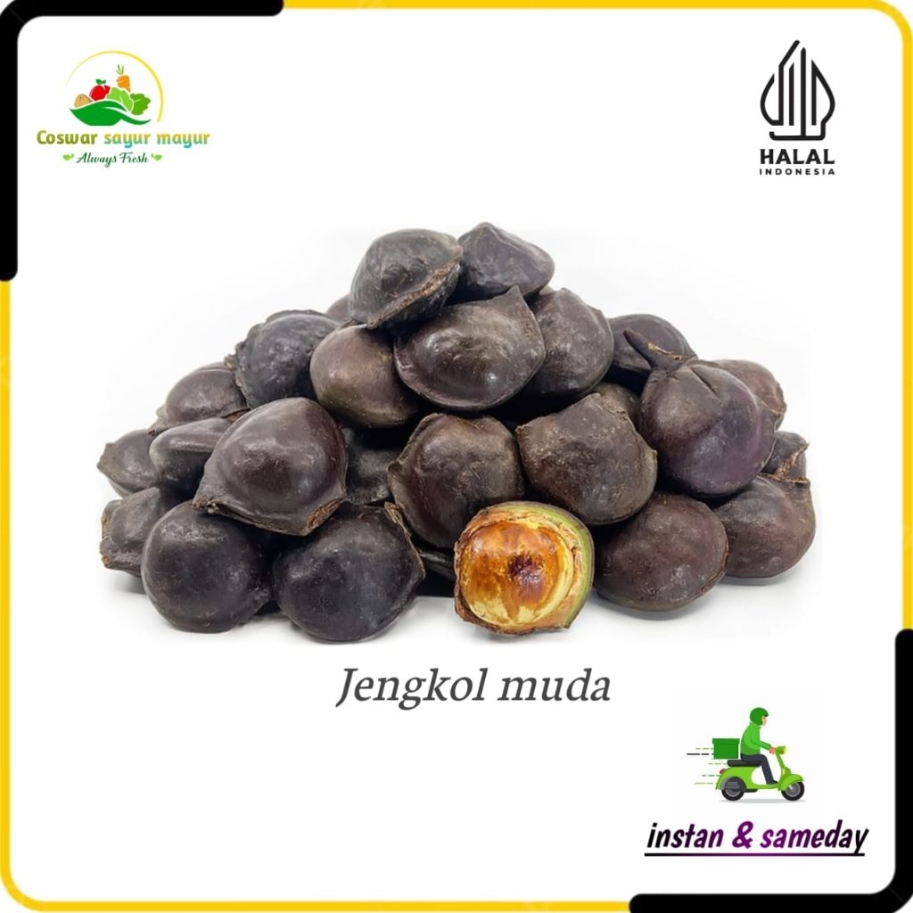 

{ 500 gram } jengkol muda/jengkol lalap legit kualitas terbaik