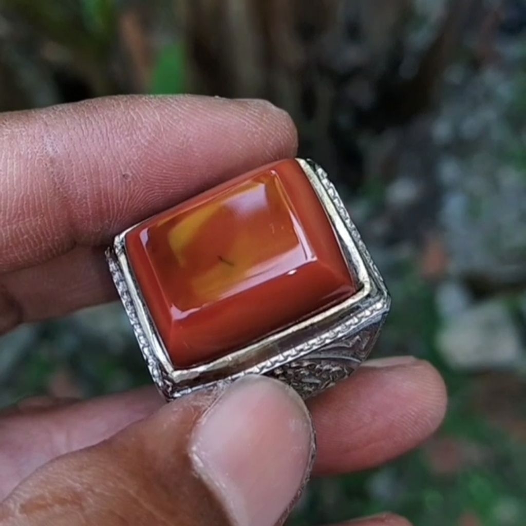 Batu akik ati ayam kotak