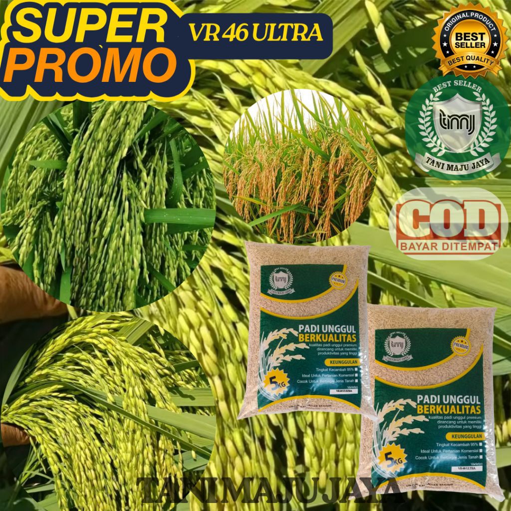 SUPER PROMO 10 KG BIBIT PADI BENIH PADI UNGGUL VARIETAS VR 46 ULTRA KEMASAN 5 KG