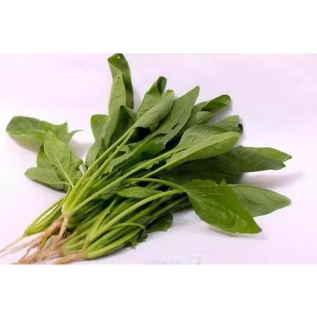 

Bayem Jepang per pack