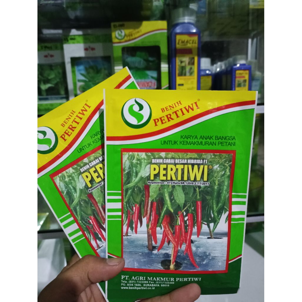cabai besar Pertiwi 10 gram (ED. Maret 2027)