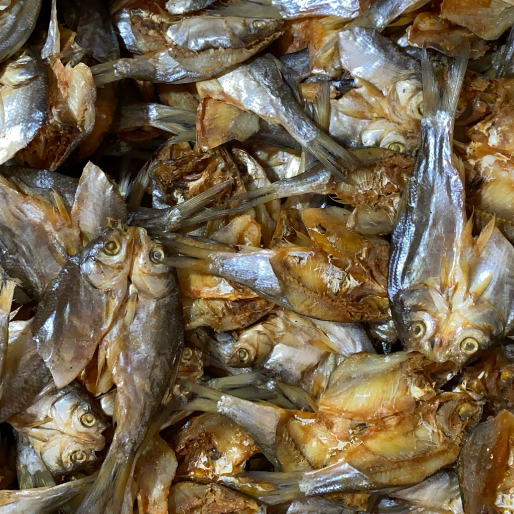 

BADER MERAH HL IKAN ASIN AZIZAH