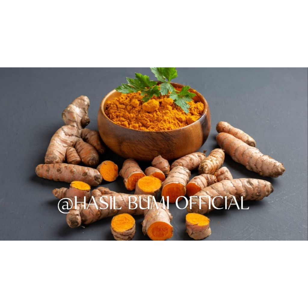 

KUNYIT BUMBU DAPUR KEMASAN 1/2 KG