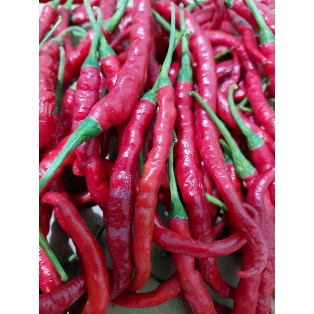

Cabai Merah Keriting Berat 250gram