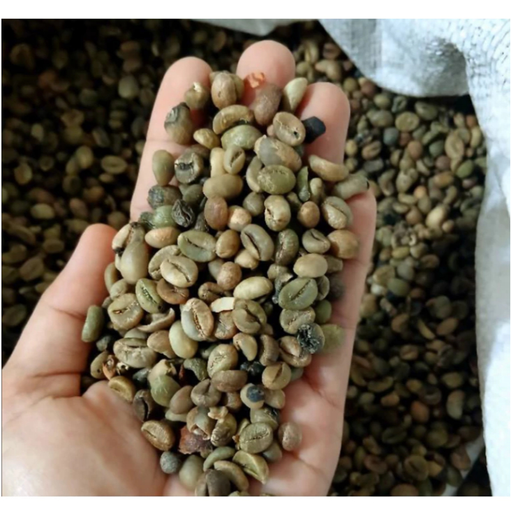 

1 Kg Kopi kering / 500 gram Biji Kopi / 250 gram Biji Kopi Robusta Kering Alami