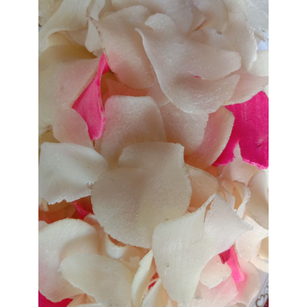 

Kerupuk Karag Cemilan kuno khas Cilacap 250 gram